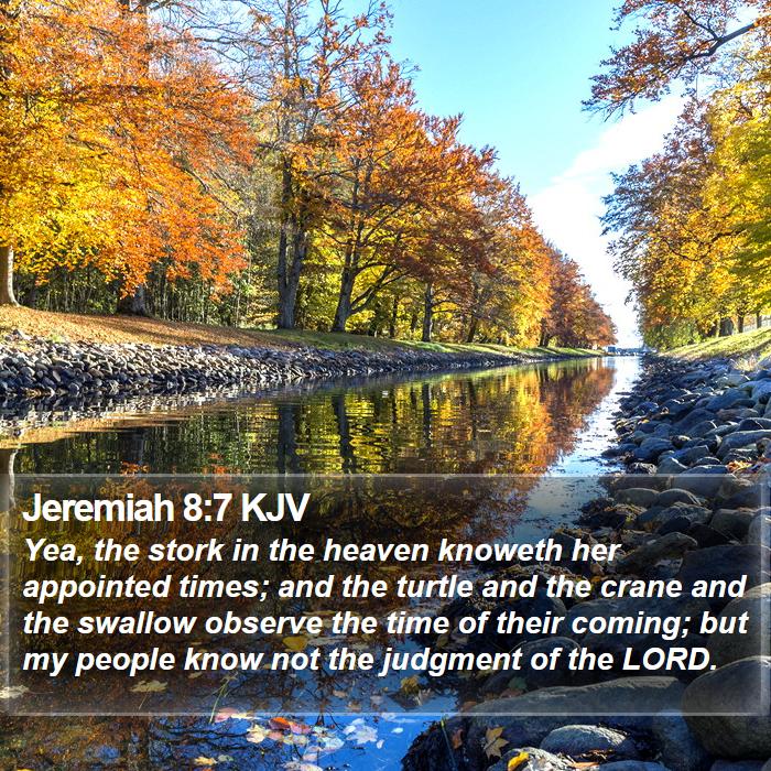 Jeremiah 8:7 KJV Bible Study