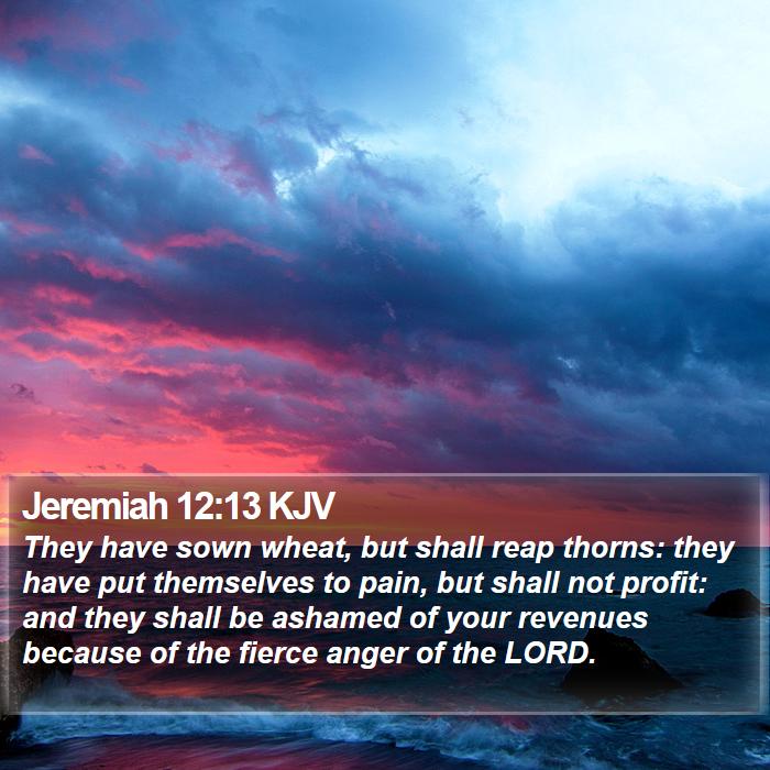 Jeremiah 12:13 KJV Bible Study