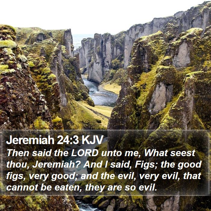 Jeremiah 24:3 KJV Bible Study