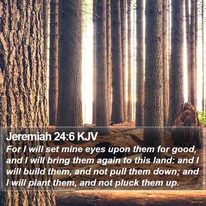 Jeremiah 24:6 KJV Bible Study