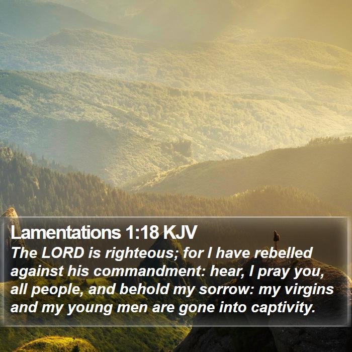 Lamentations 1:18 KJV Bible Study