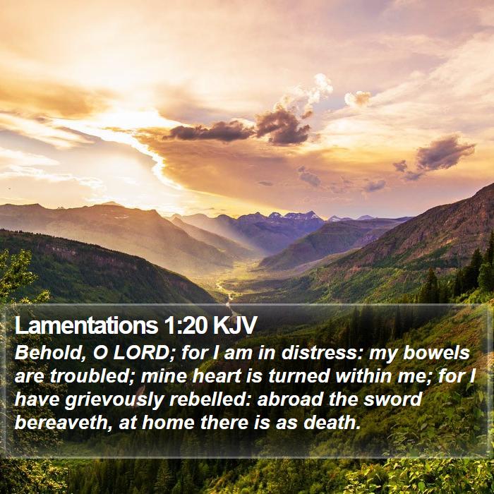 Lamentations 1:20 KJV Bible Study