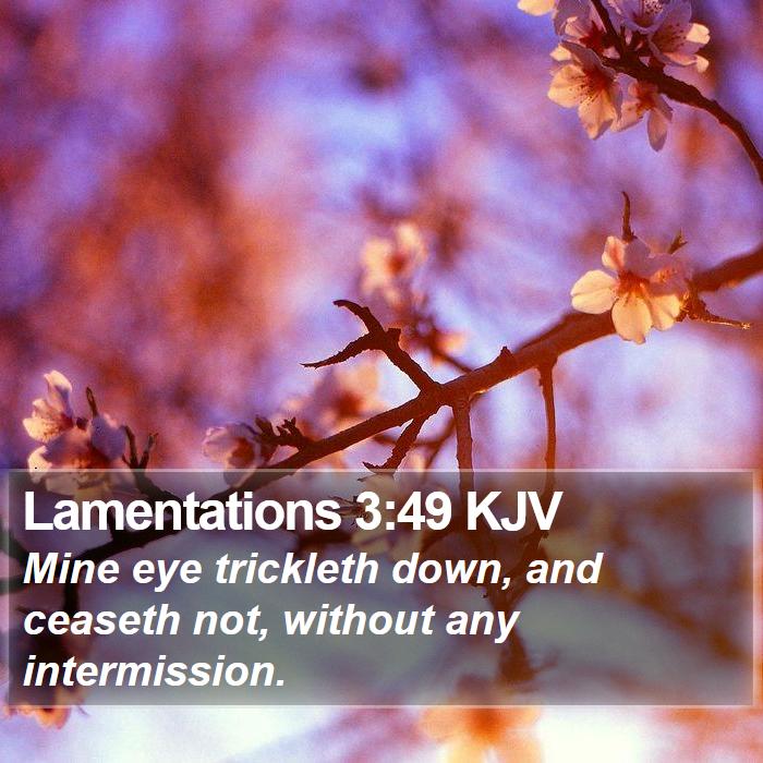 Lamentations 3:49 KJV Bible Study
