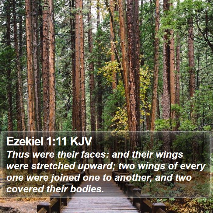 Ezekiel 1:11 KJV Bible Study