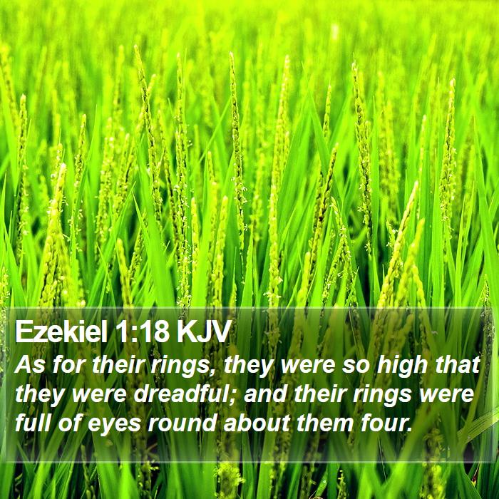 Ezekiel 1:18 KJV Bible Study