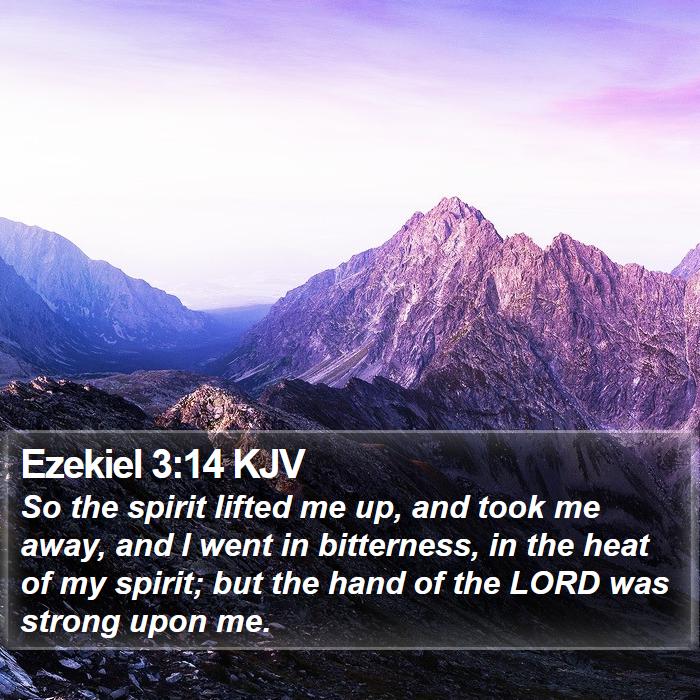 Ezekiel 3:14 KJV Bible Study