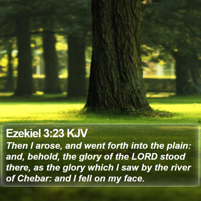 Ezekiel 3:23 KJV Bible Study