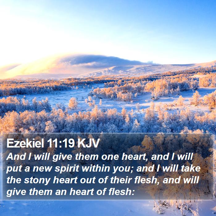 Ezekiel 11:19 KJV Bible Study