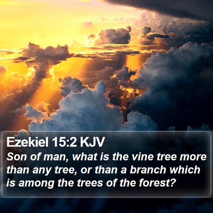 Ezekiel 15:2 KJV Bible Study