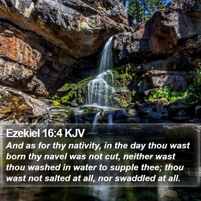 Ezekiel 16:4 KJV Bible Study