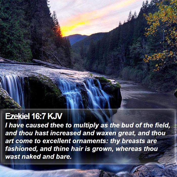 Ezekiel 16:7 KJV Bible Study