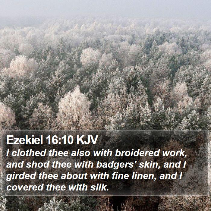 Ezekiel 16:10 KJV Bible Study