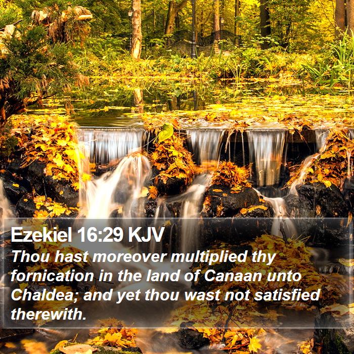 Ezekiel 16:29 KJV Bible Study