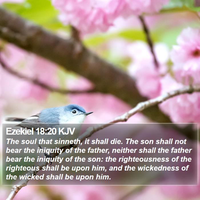 Ezekiel 18:20 KJV Bible Study