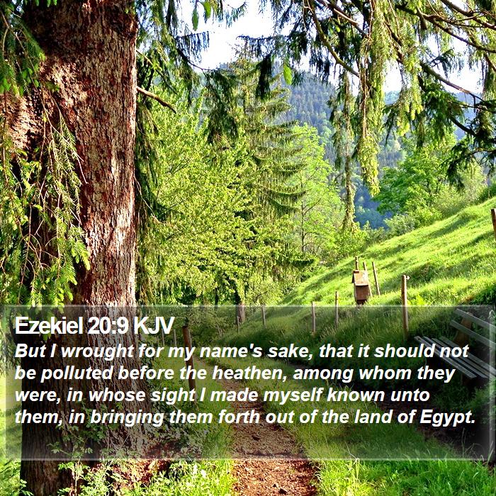 Ezekiel 20:9 KJV Bible Study