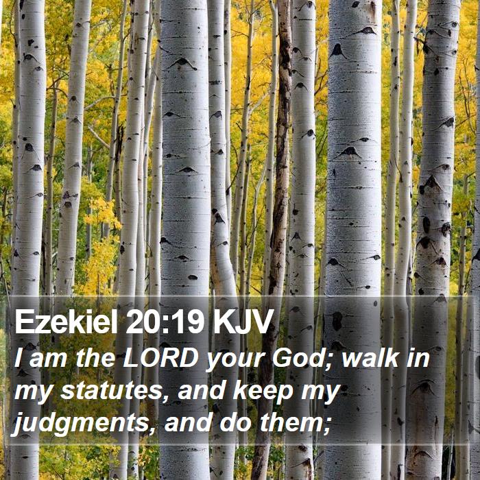 Ezekiel 20:19 KJV Bible Study