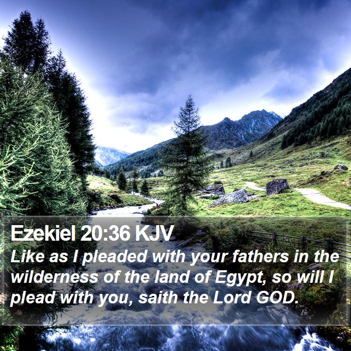 Ezekiel 20:36 KJV Bible Study