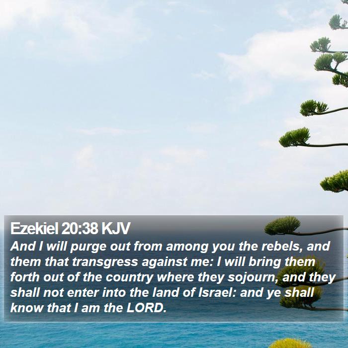 Ezekiel 20:38 KJV Bible Study