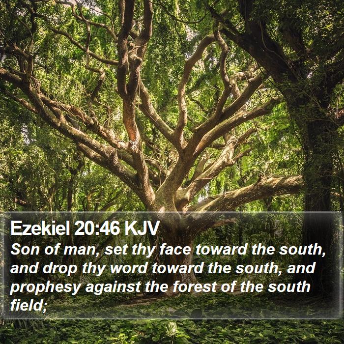 Ezekiel 20:46 KJV Bible Study