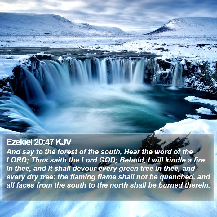 Ezekiel 20:47 KJV Bible Study