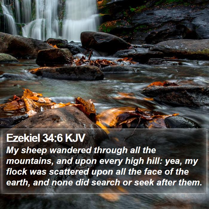 Ezekiel 34:6 KJV Bible Study