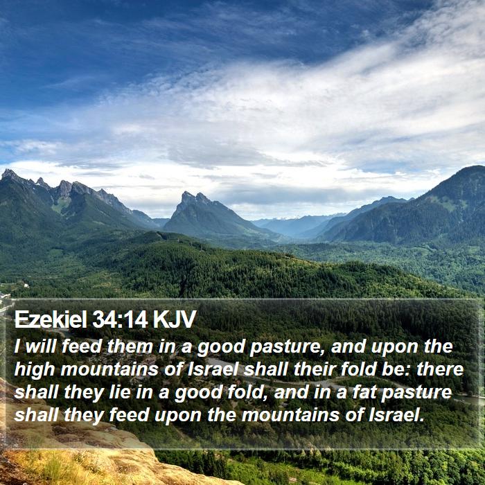 Ezekiel 34:14 KJV Bible Study