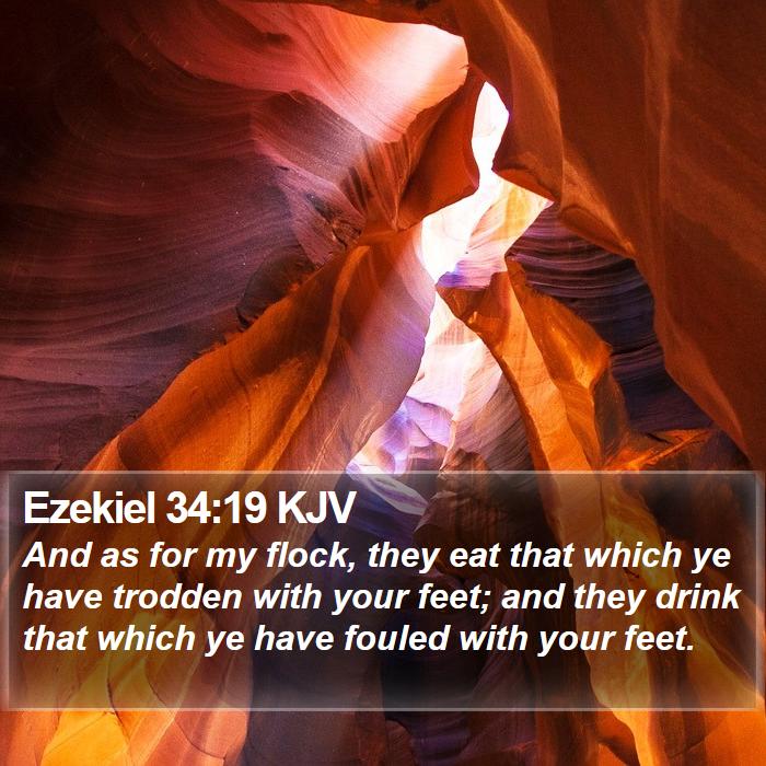 Ezekiel 34:19 KJV Bible Study