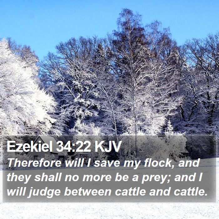 Ezekiel 34:22 KJV Bible Study