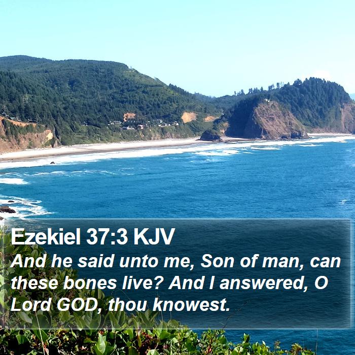 Ezekiel 37:3 KJV Bible Study