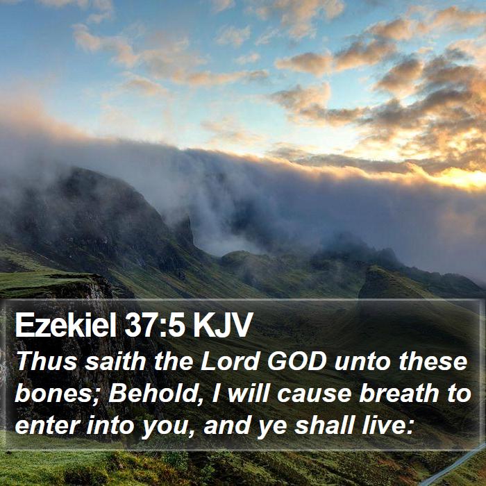 Ezekiel 37:5 KJV Bible Study