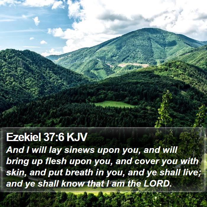 Ezekiel 37:6 KJV Bible Study