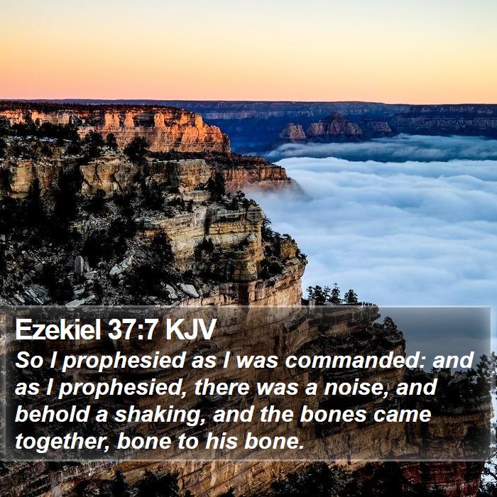 Ezekiel 37:7 KJV Bible Study