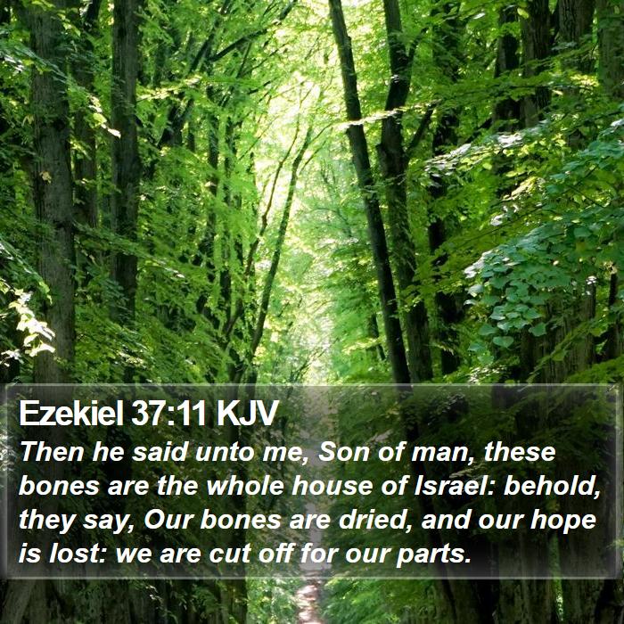 Ezekiel 37:11 KJV Bible Study