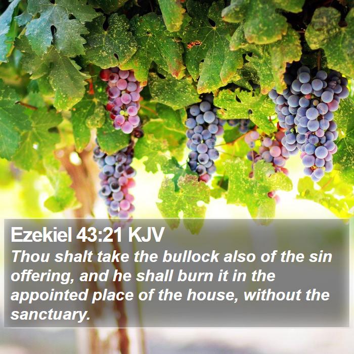 Ezekiel 43:21 KJV Bible Study