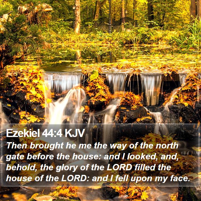 Ezekiel 44:4 KJV Bible Study