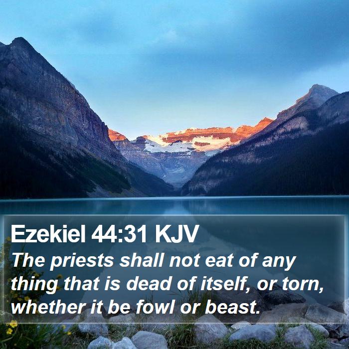 Ezekiel 44:31 KJV Bible Study