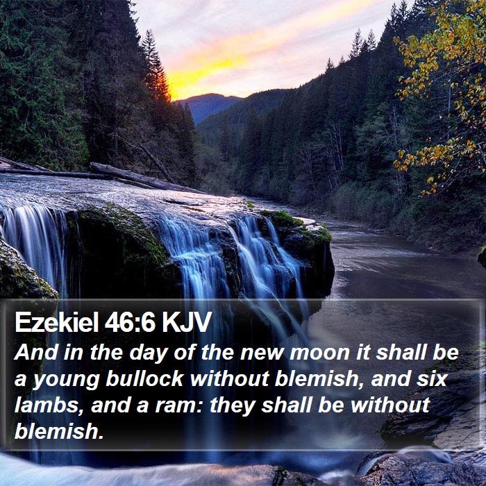 Ezekiel 46:6 KJV Bible Study