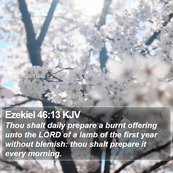 Ezekiel 46:13 KJV Bible Study