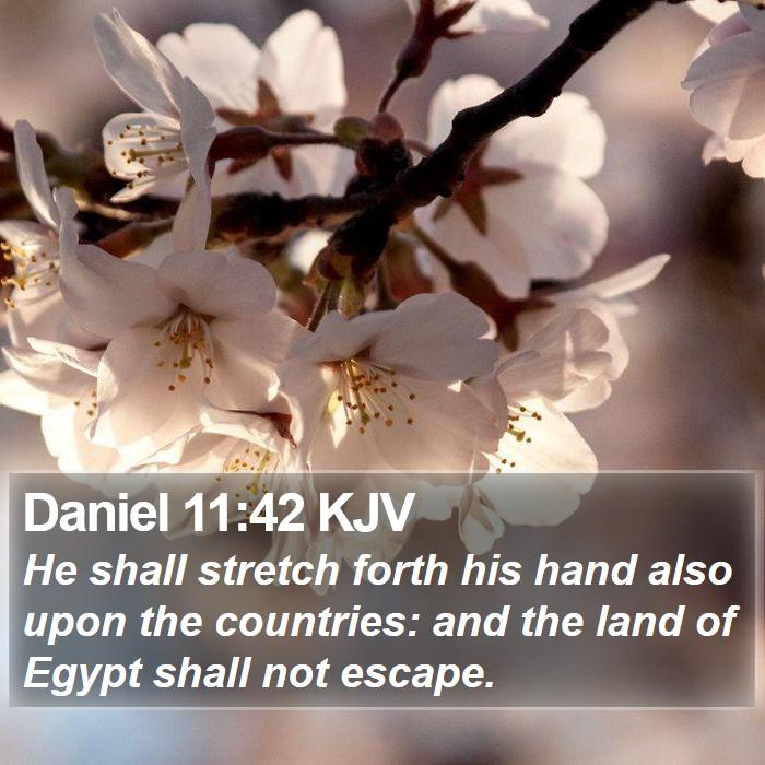 Daniel 11:42 KJV Bible Study