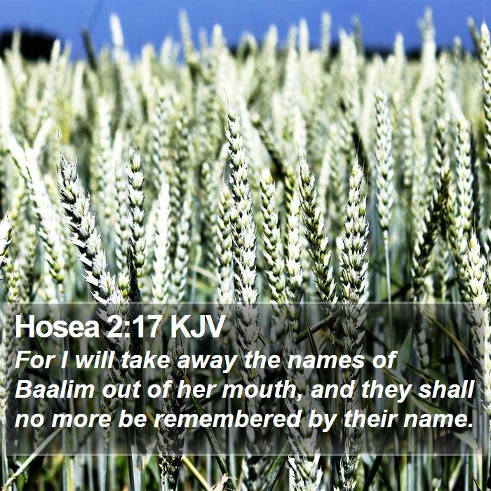 Hosea 2:17 KJV Bible Study