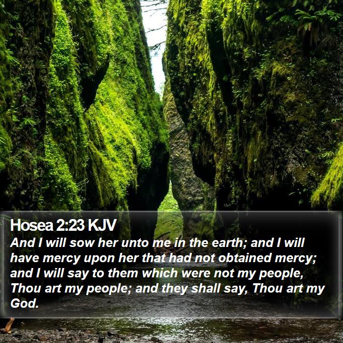 Hosea 2:23 KJV Bible Study