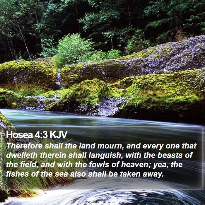 Hosea 4:3 KJV Bible Study