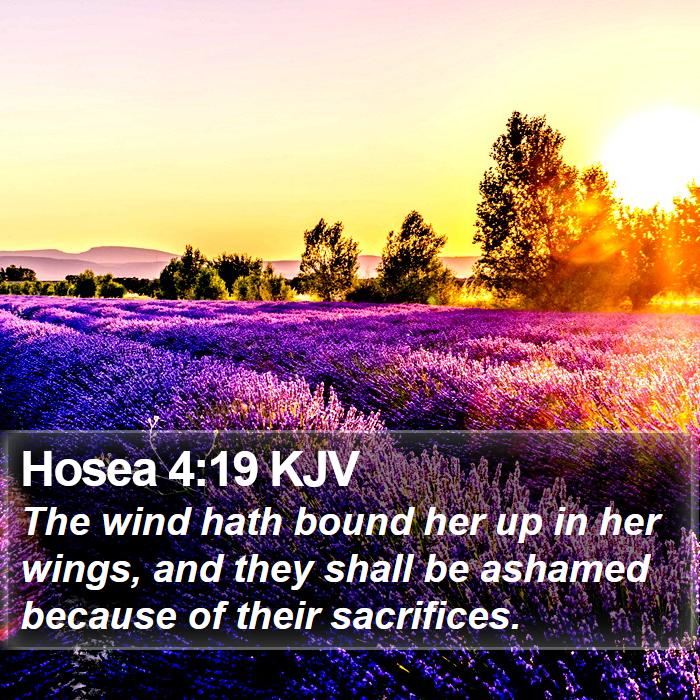 Hosea 4:19 KJV Bible Study