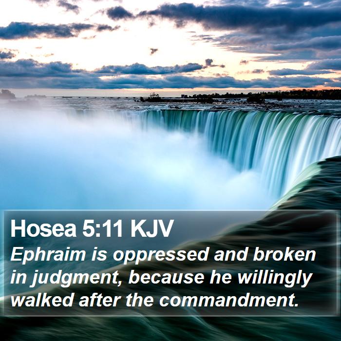 Hosea 5:11 KJV Bible Study