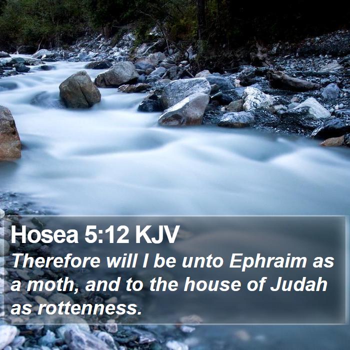 Hosea 5:12 KJV Bible Study