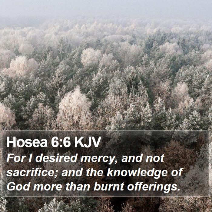 Hosea 6:6 KJV Bible Study