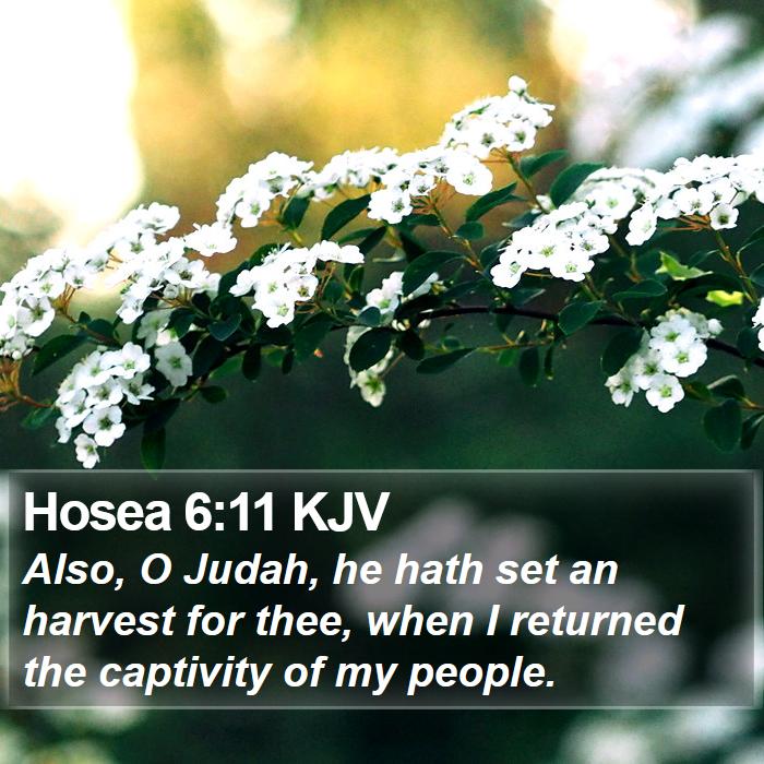 Hosea 6:11 KJV Bible Study