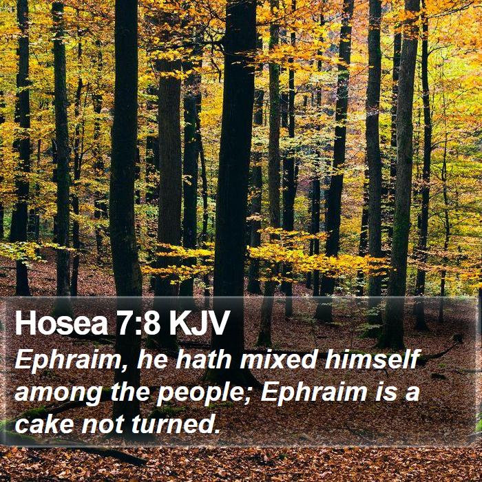 Hosea 7:8 KJV Bible Study
