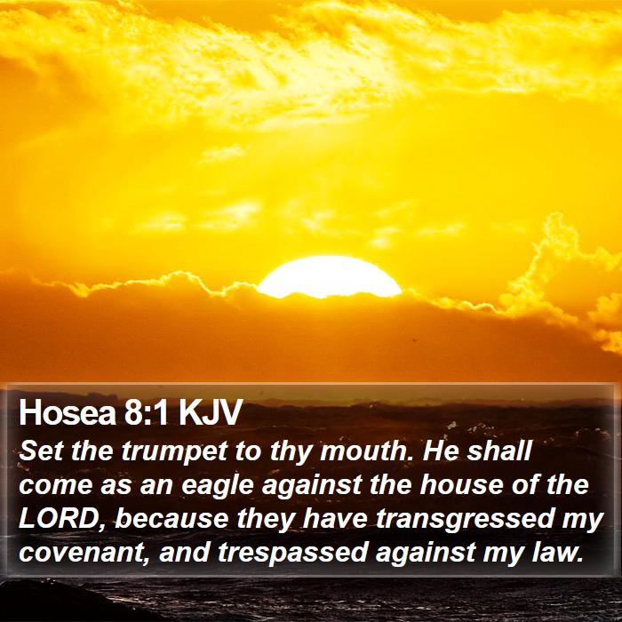 Hosea 8:1 KJV Bible Study