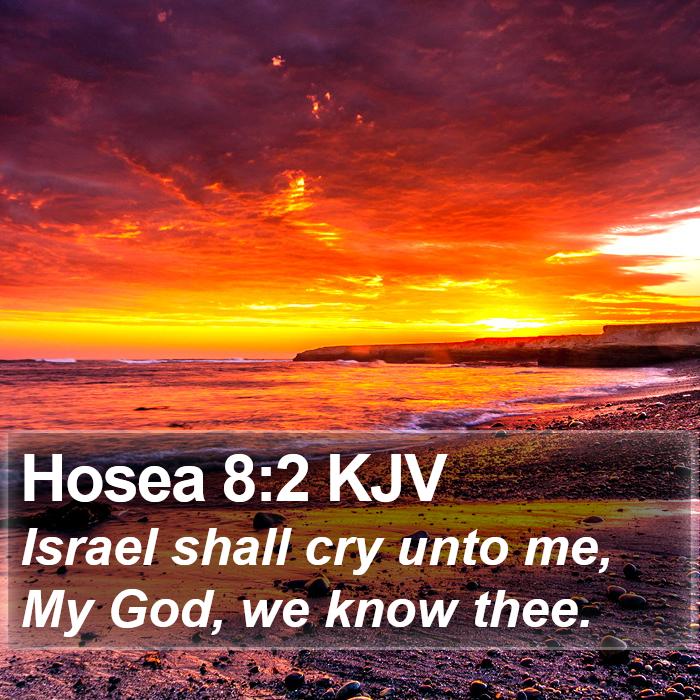 Hosea 8:2 KJV Bible Study